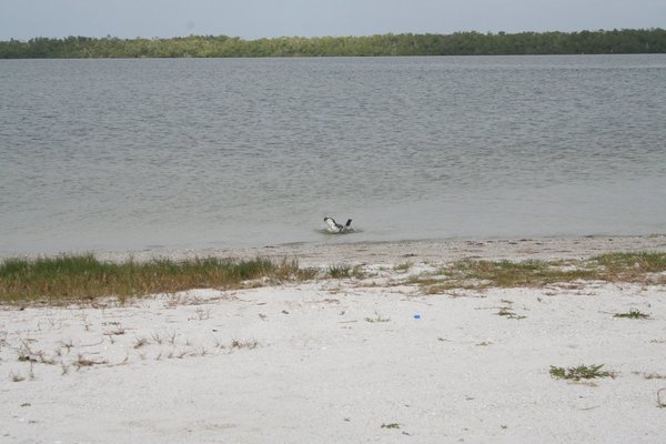 Sanibel Causeway