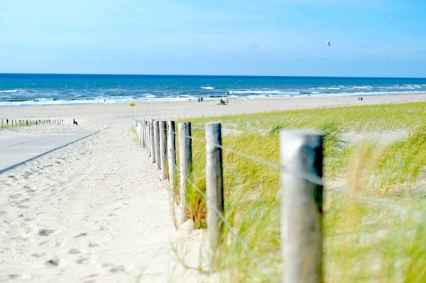 Petten (NL)