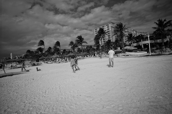 Hadicurari Beach / Palm Beach