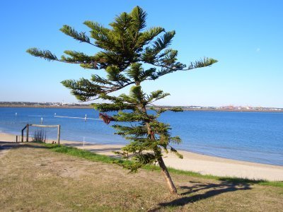 Ramsgate Beach,Sydney