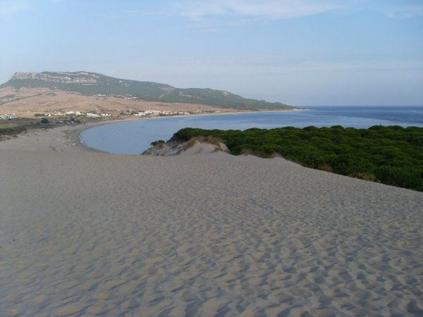 Bolonia