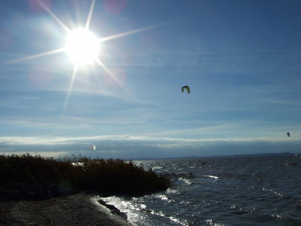 Podersdorf am Neusiedlersee