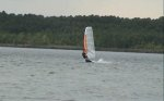 Der Windsurfer