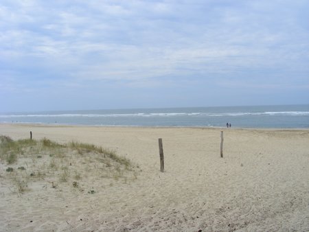 La Palmyre, Côte Sauvage